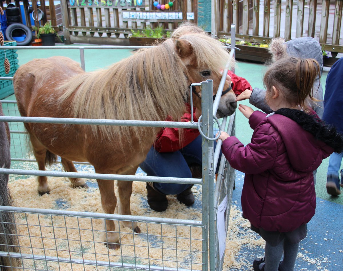 OrchardParkSch's tweet photo. Great excitement in Caterpillars this morning as @monach_farm are visiting Orchard Park! #monachfarm #orchardpark #nursery #EYFS https://t.co/lpL8RDiTib