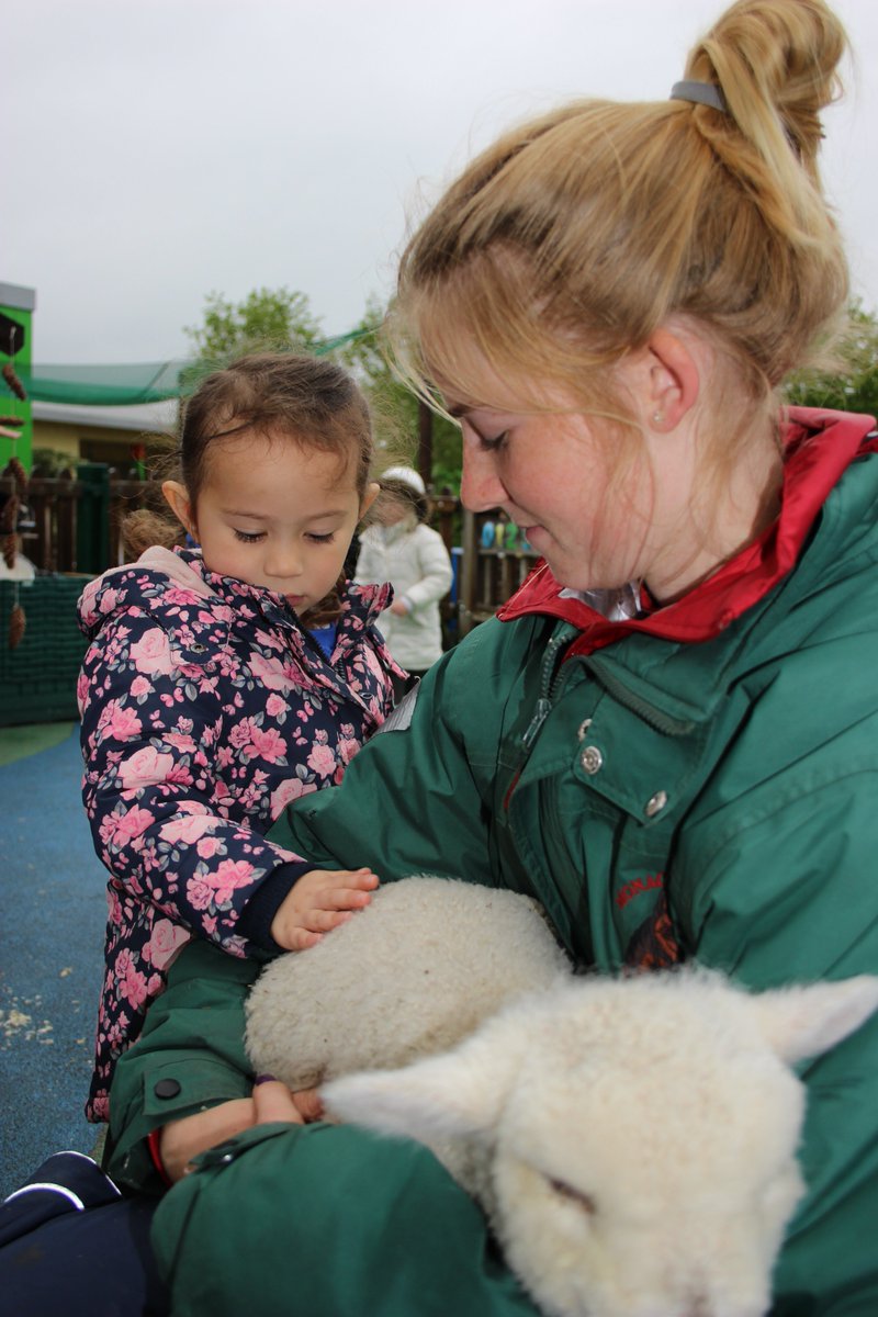 OrchardParkSch's tweet photo. Great excitement in Caterpillars this morning as @monach_farm are visiting Orchard Park! #monachfarm #orchardpark #nursery #EYFS https://t.co/lpL8RDiTib