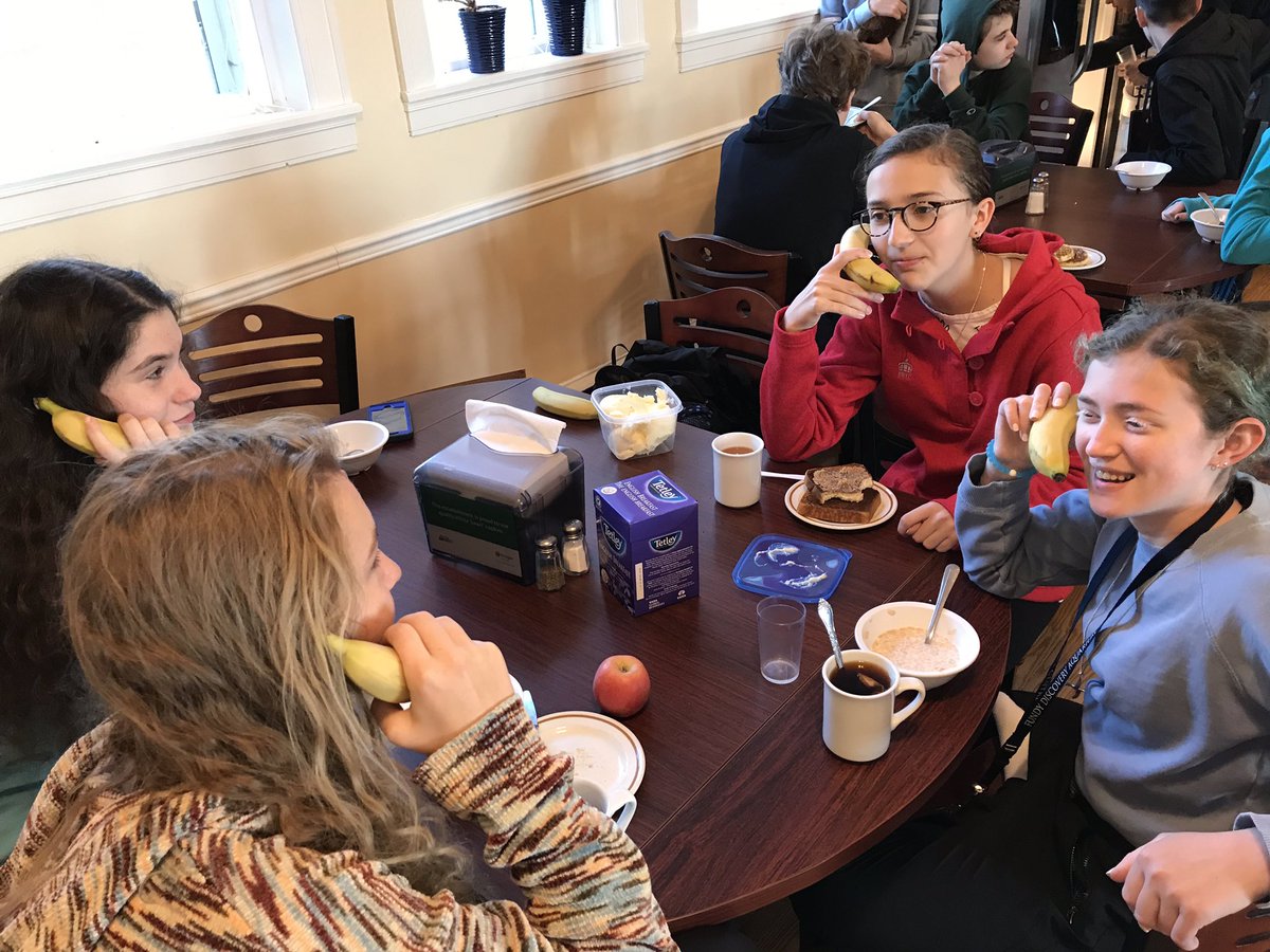 York Killarney tweet media