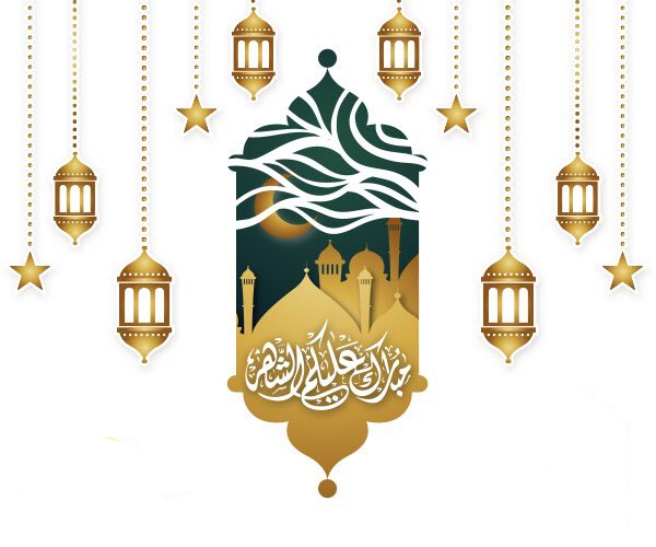 mobarakibi's tweet image. 