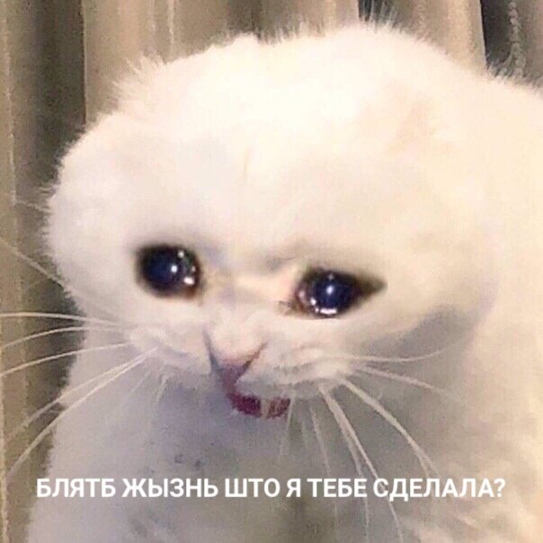 6tata9's tweet photo. Бывает такое, что чувствуешь, что человек не хочет общаться с тобой, но он говорит, что всё норм, но ты-то знаешь, что происходит пиzдец, и сидишь такая, терзая себя мыслями, потому что очень привязалась: https://t.co/uxmZDtzLrD
