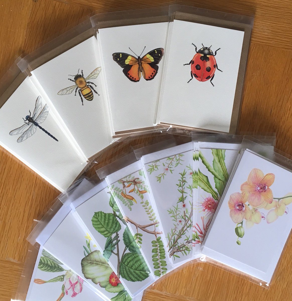 JennyHaslimeier's tweet photo. This morning I dropped off a selection of my greeting cards to my latest stockist, @get2flux in Leith! I’m so excited to be part of the Flux team!
#justacard #greetingcards #shoplocal #supportartists #handmade #art #artist #get2flux #botanical #botanicalartist #jennyhaslimeier https://t.co/t1YhBs9K8R
