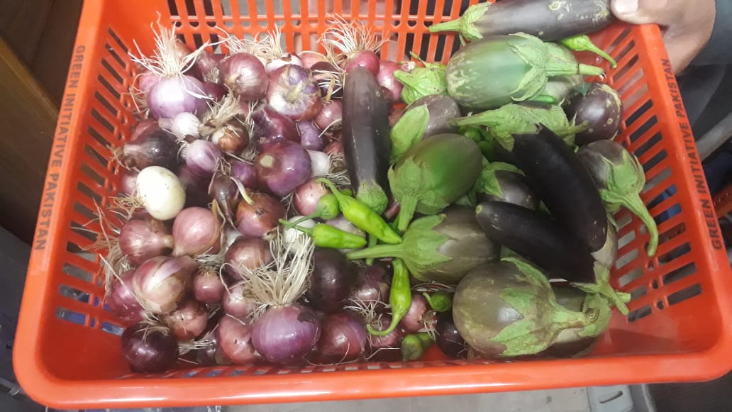 sandhu202's tweet photo. Alhamdulillah!
With the support of HD01 Mali team, successfully getting 1st vegetables from kitchen garden.
Handed over to Manager protocol @Faryalsohail 
@Tloop25 https://t.co/2ysa3GX7Lq