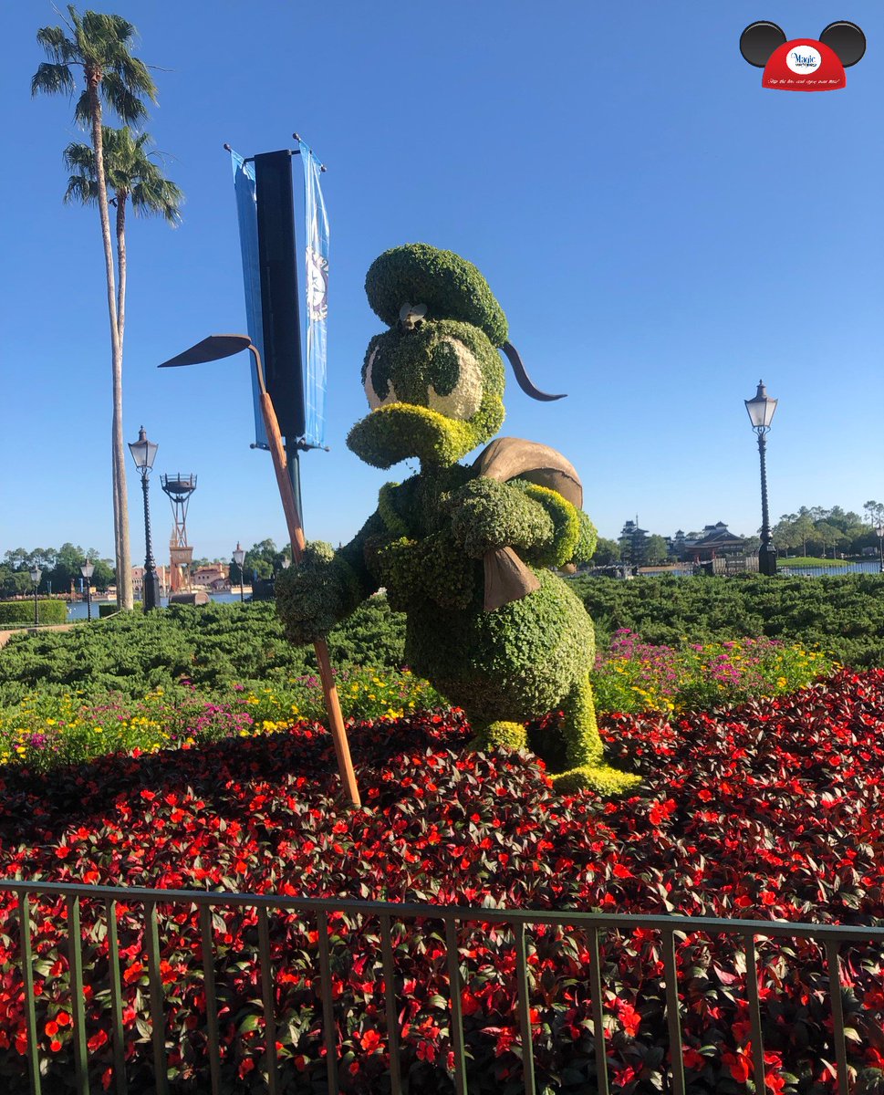 MAGICVIPTOURS1's tweet photo. ❤️💫🦆Love The Disney ducks! Donald, Huey, Duey, Louie &amp; a personal favorite Scrooge Mcduck! Favorite a Duck Tales FANNN.✨💐#MagicVIP #wdw #Epcot #MagicVIP #welovedisney #wdw #magickingdom #disneyworld #mickeymouse #disney #disneyland #MagicVIP #welovedisney #wdw #magickingdom https://t.co/0R3KSZCzSd