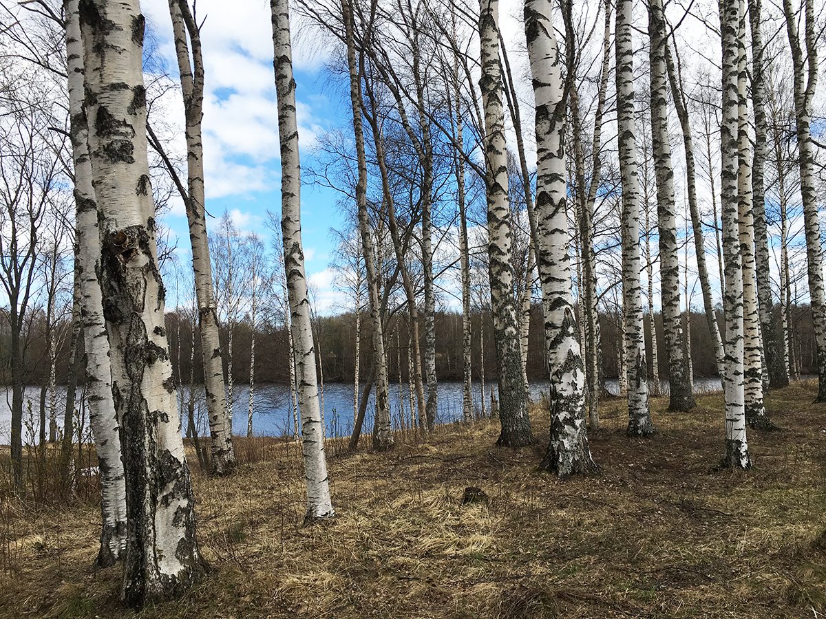 TRimfrost's tweet photo. Tip of water-signs now at Umeå City Hall and the Community Planning Office. Politicans, decision-makers and visiting citizens - take a sip and give a tip! #winnovators #wateraid #vakin #tipofwater #cityofbirches https://t.co/WyIBLipLxC