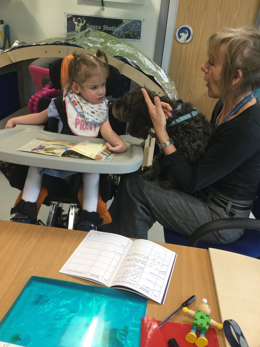 DoodlesTheSchn1's tweet image. Doodles loves his role as reading dog. The class nursery nurse is discussing the story with this little girl and she’s listening beautifully while keeping her eye on Doodles. Good team work! #schooldog #classpets #teamhighfurlong