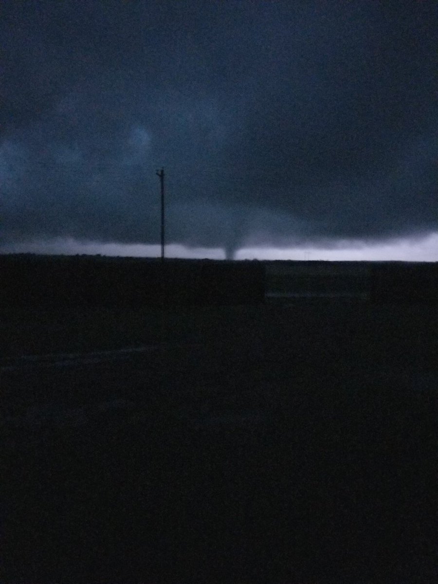 Emily Sutton tweet media