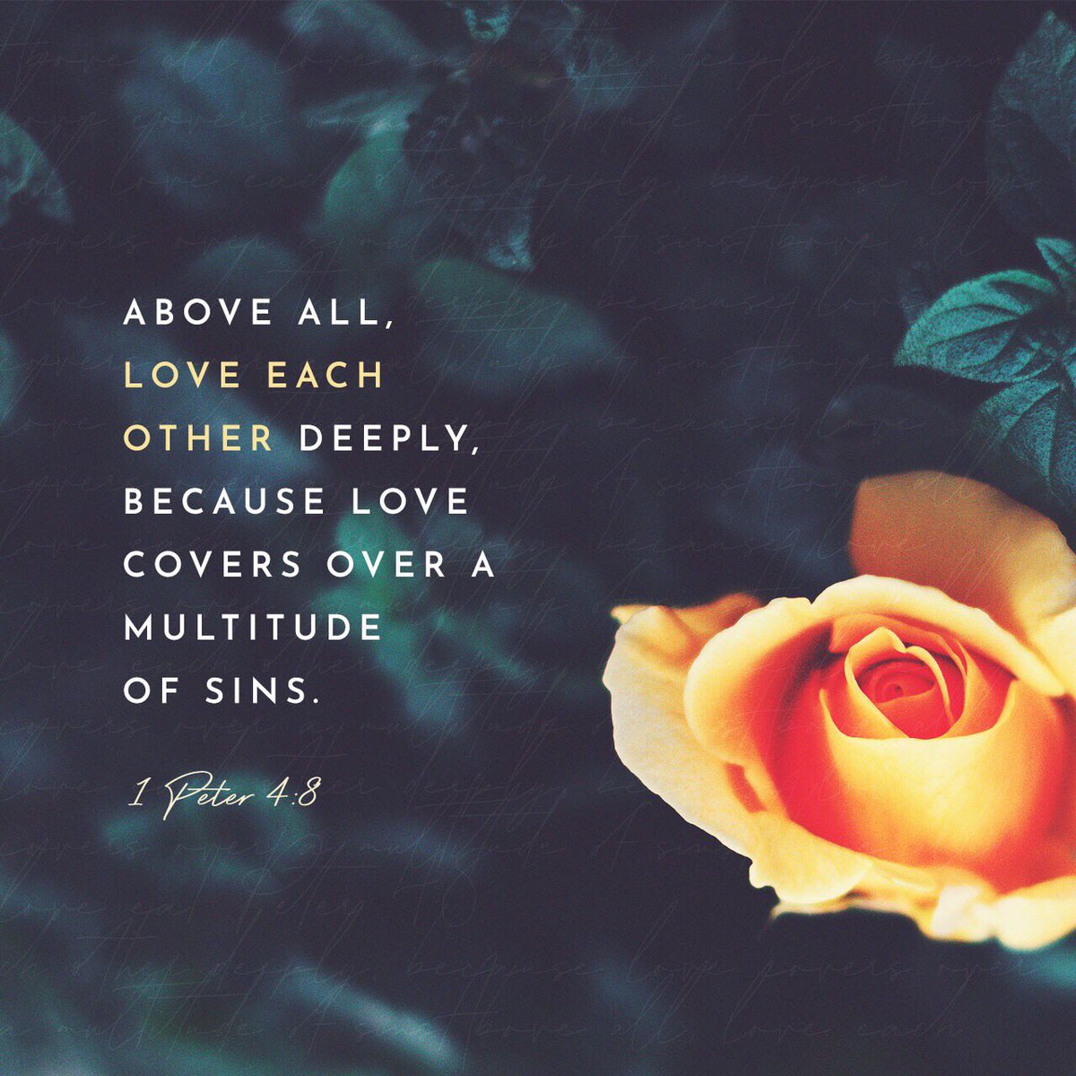 RiveraTribe823's tweet image. “The end of all things is at hand; therefore be #selfcontrolled and #soberminded for the sake of your #prayers. 

Above all, keep #loving one another #earnestly, since #love #covers a #multitude of #sins.”

#1Peter 4:7-8 ESV

 bible.com/bible/59/1pe.4…