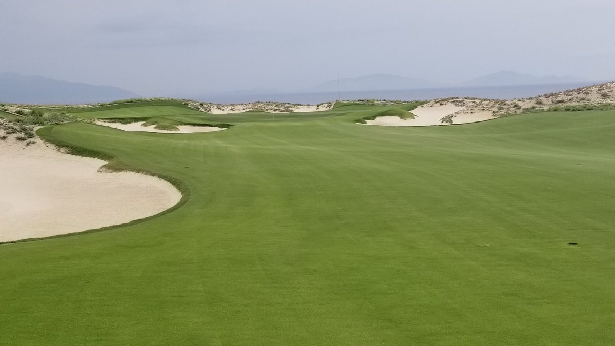 JasonChennault's tweet photo. Played the new #GNGCD @SharkGregNorman KN Links today Great fun from the #sharktees first round for me on the new Zeon zoysia #beachesandgreens Plays well https://t.co/ZvRdJ94Rf2