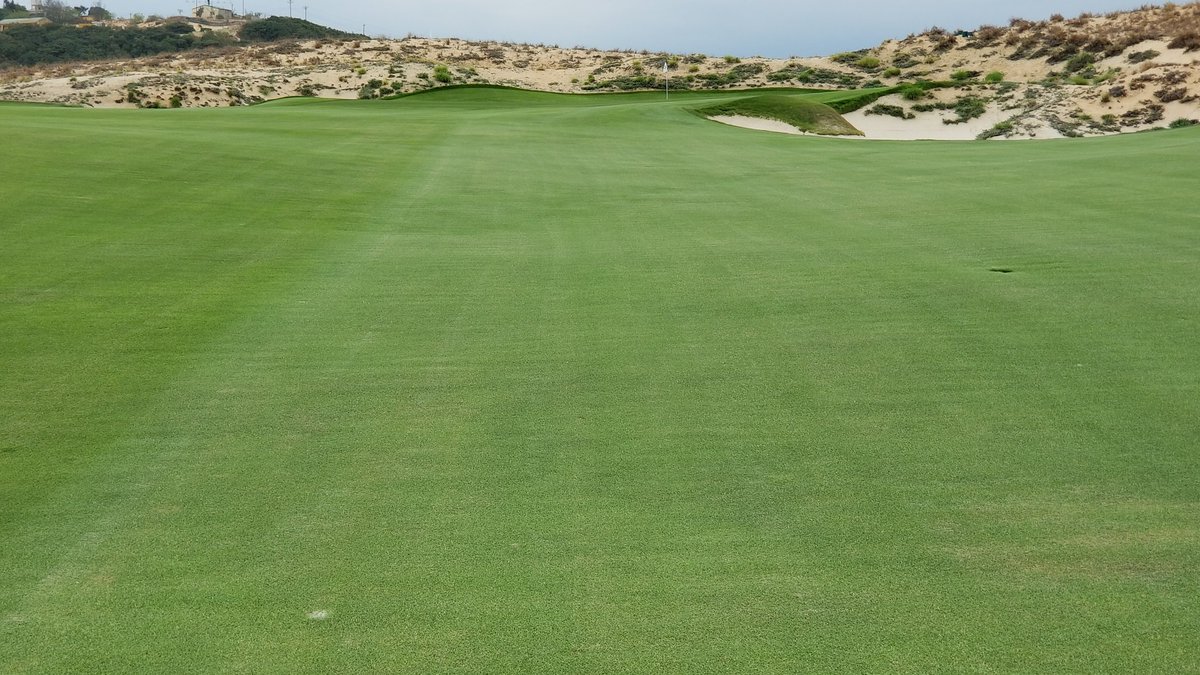 JasonChennault's tweet photo. Played the new #GNGCD @SharkGregNorman KN Links today Great fun from the #sharktees first round for me on the new Zeon zoysia #beachesandgreens Plays well https://t.co/ZvRdJ94Rf2