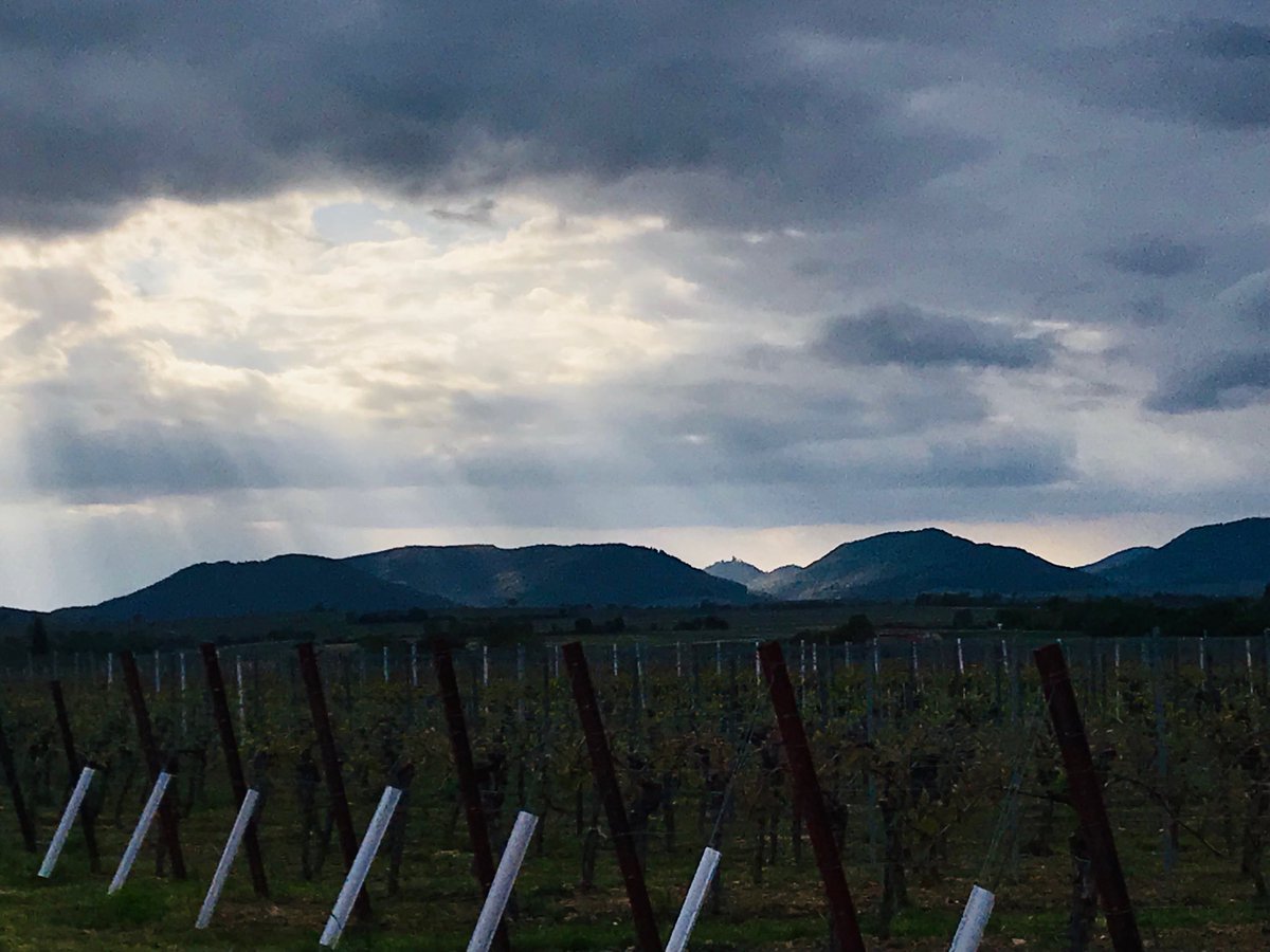 Pfalzparade's tweet photo. Ozzy kennt das ... hole in the sky. #pfalz #ozzy #pfaelzerwald #sky #sonne #sunshine https://t.co/9TZevwSdPC