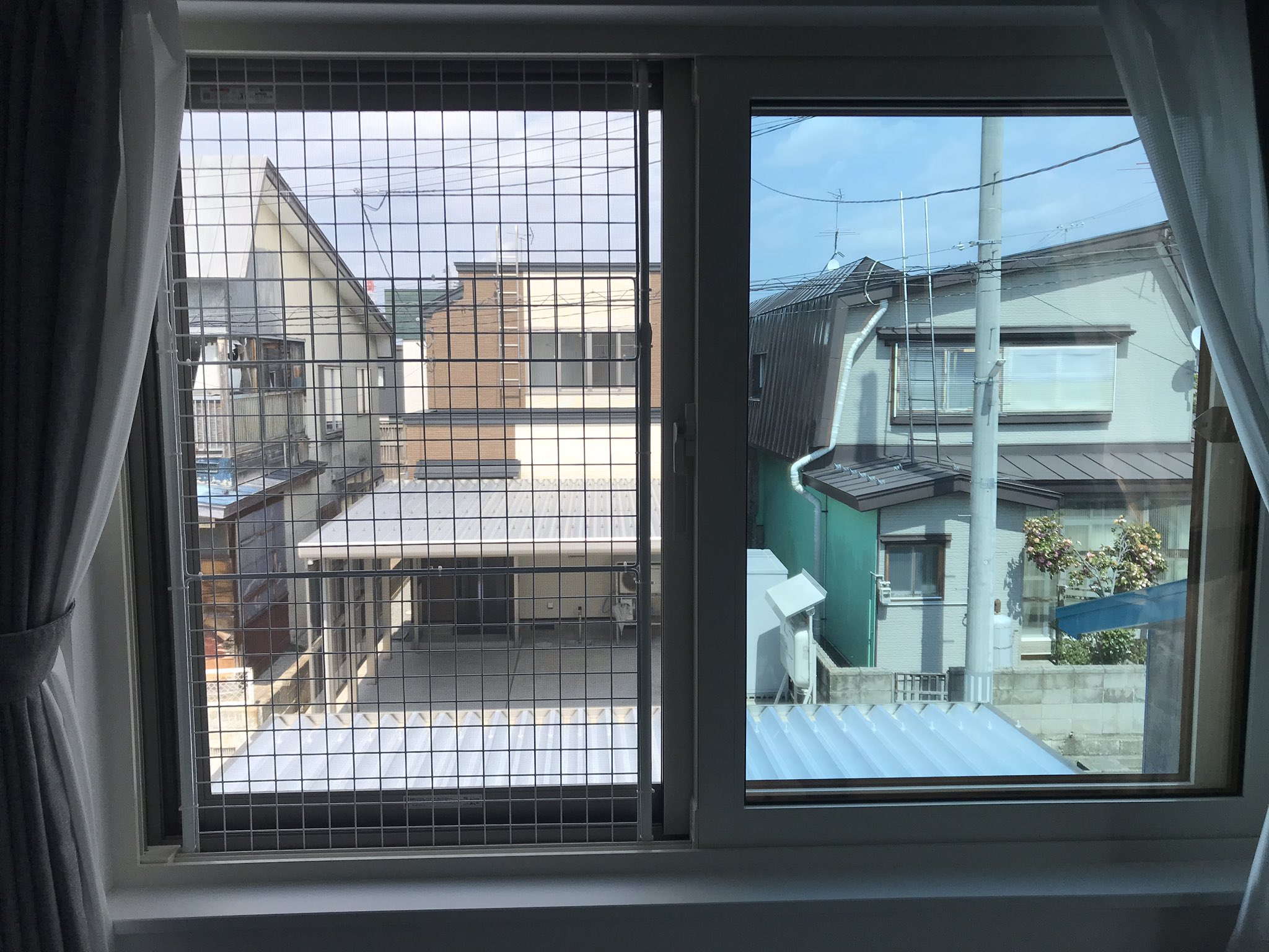 ムロフシ うちの子は網戸で爪研ぎをするクセがあるので 脱走防止も兼ねてダイソーで金網と突っ張り棒と結束バンドで補強しました 窓枠にはめてるので片方の窓は使えなくなりますが これで外出しても安心 猫 スコティッシュフォールド 爪研ぎ防止