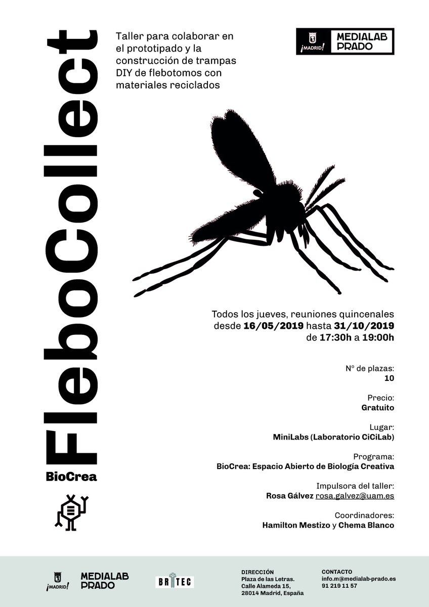 Rosa Gálvez tweet media