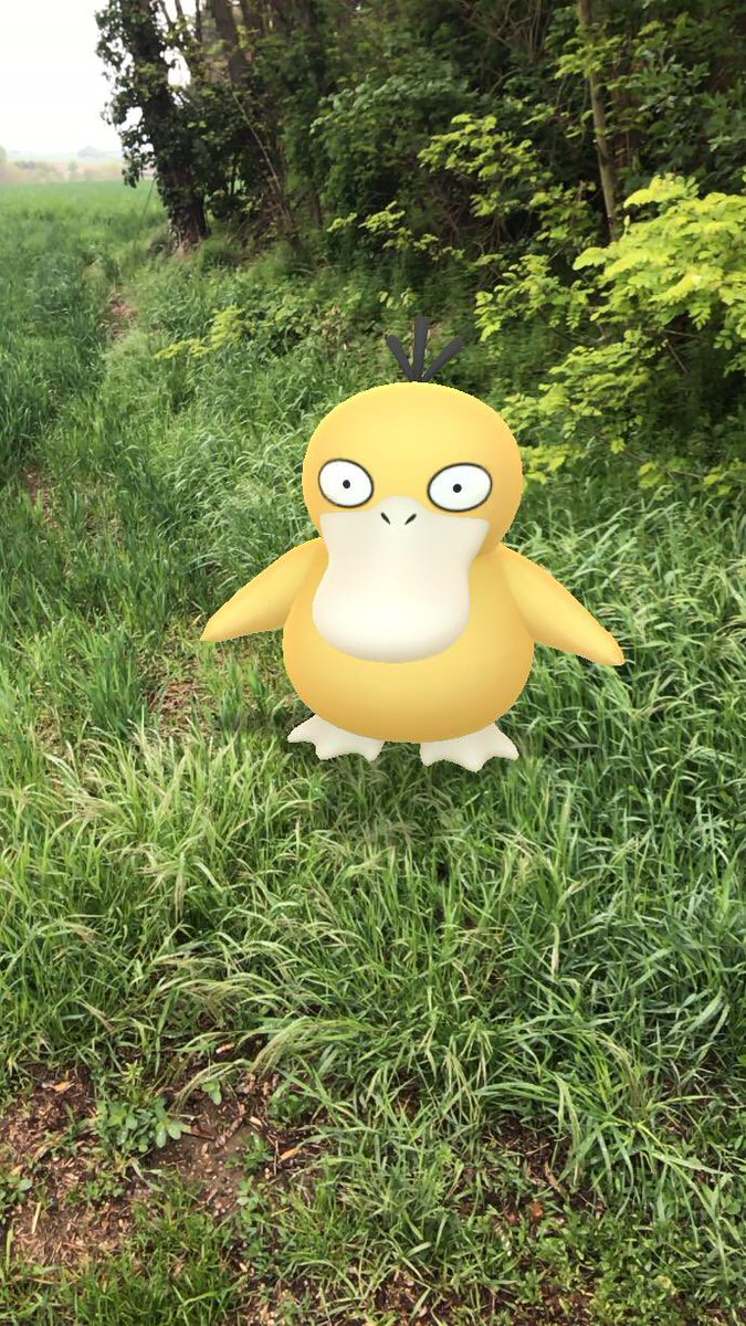 #GOsnapshot
