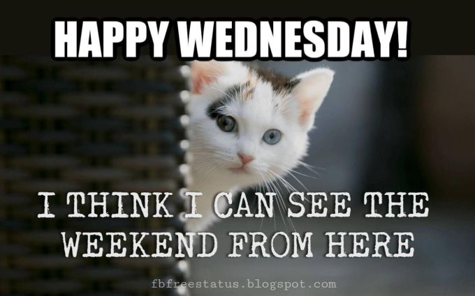 CANCSW's tweet photo. #happywednesday #weekhalfover https://t.co/5opYQt7Vfn