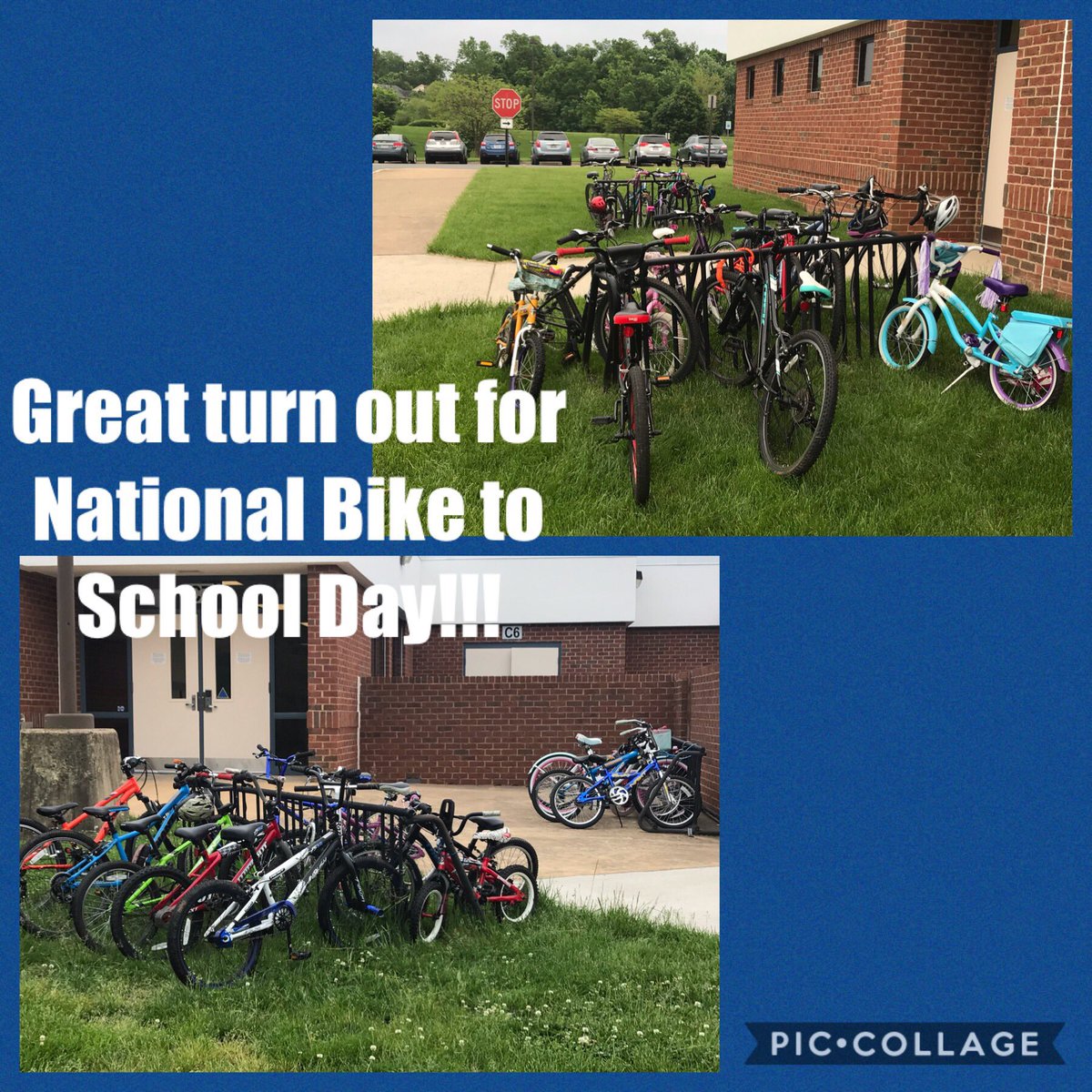 Sanders Physical Education tweet media