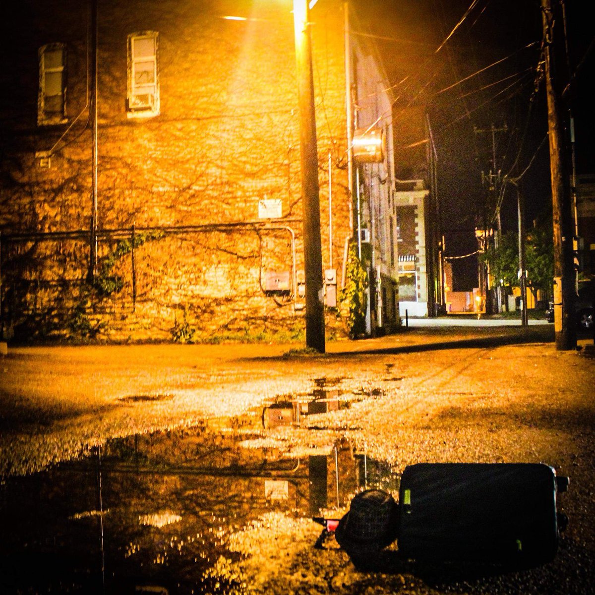 TetraFuze tweet media