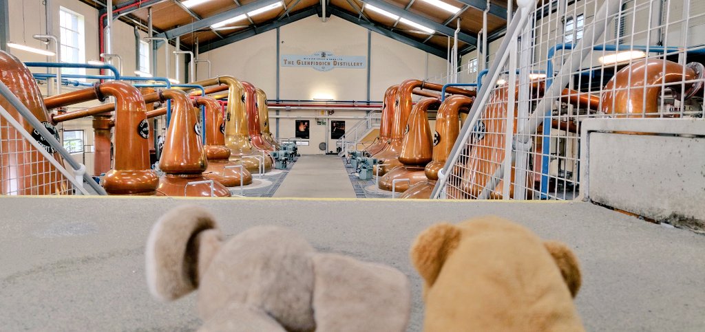 ToeterBeertje's tweet photo. Touring @GlenfiddichSMW https://t.co/nsah2TBWtL