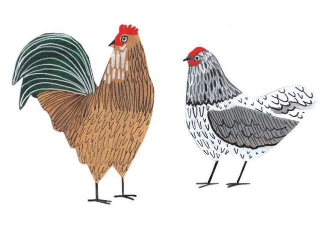 “All you need to know to have a roost of your own.”

Check out “Chickens 101” by Michelle Ganci in the Spring issue of Edible Columbus magazine for more! 

illustration: Kristen Solecki