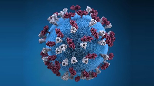 CDCMMWR's tweet image. In the latest #CDCMMWR: Measles outbreaks in European Region led to &amp;gt;80,000 #measles cases in 2018. Learn more: bit.ly/2V7tZeE