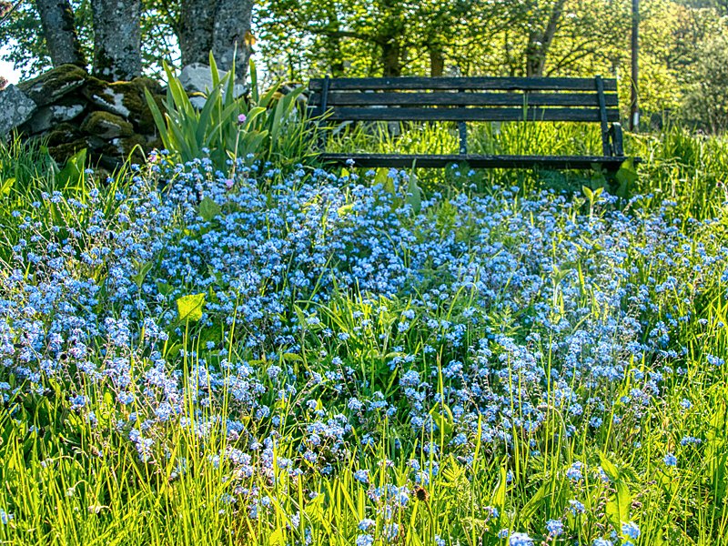 Lots coming up at The Swallow Theatre including Weaver of Grass (<a href="/chrys_salt/">Chrys Salt</a> and Wendy Stewart) tomorrow, <a href="/StewartHardyMus/">Stewart Hardy Music</a> and Frank McLaughlin, @DavidWBryan, <a href="/HotbuckleProds/">HotbuckleProductions</a>, Tenterhooks, Eglantyne, <a href="/DGArtsFest/">D&G Arts Festival</a> 
Read more in our latest newsletter: mailchi.mp/131c4405e582/m…