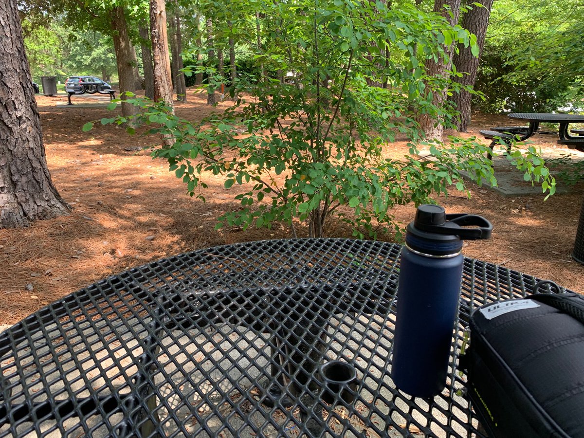 Beautiful day to eat lunch outside and catch up on reading (<a href="/DanielCoyle/">DanielCoyle</a>⁩ "The Culture Code."). Loving the book and the weather.   ⁦<a href="/happyshadyplace/">Happy Shady Place</a>⁩