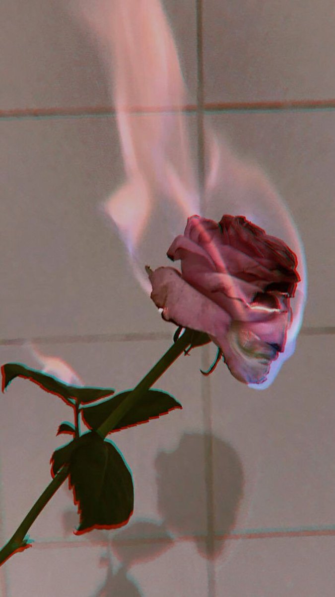 𝑀𝒾𝓁𝓁𝒶💫 || tweet media