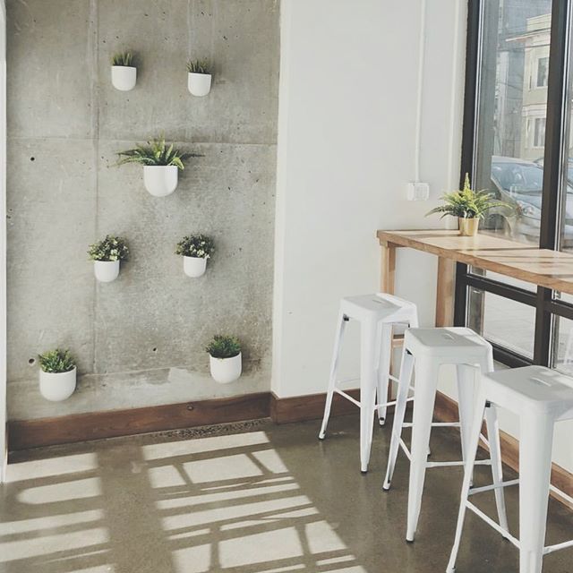 ooh girl, you lookin’ fern as heck!! 🌱 // 📸: <a href="/ehankins/">Eric Hankins</a> bit.ly/2H9C0r3