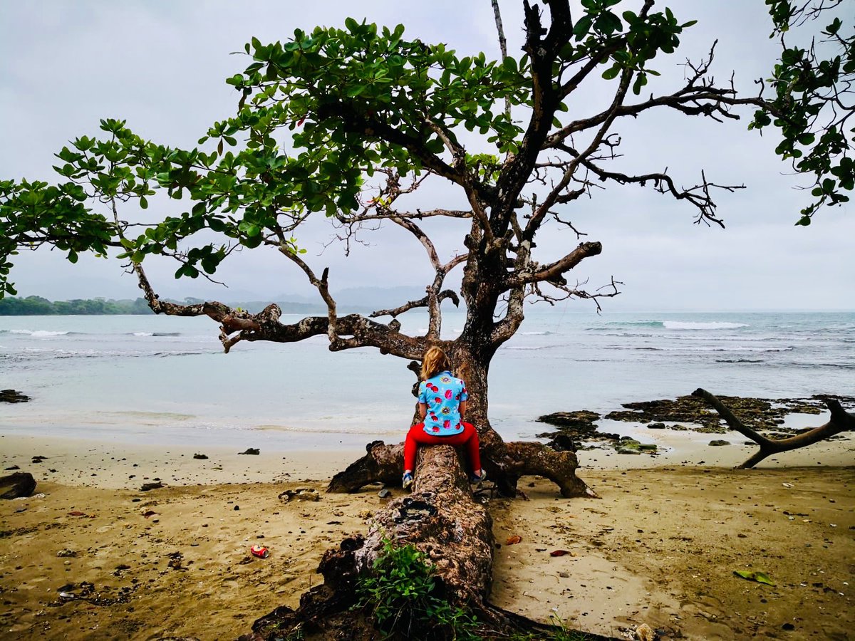IsaGrassano's tweet photo. Ci sono luoghi molto lontani da noi eppure più vicini di quel che sembrano... nei modi delle persone, nell’amore per l’Italia, nella musica, nelle spiagge...
Costa Rica da vivere (anche se diluvia...)
#VisitCentroamerica #MakeMeFeelAlive #YourNextDestination #costarica #puravida https://t.co/e7SvcWjvMI