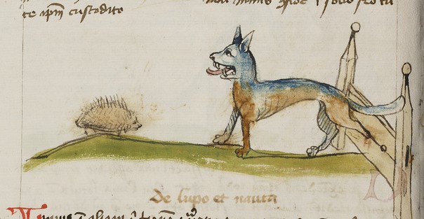 Medieval_Badger's tweet image. A hedgehog sniggering at a wolf who has trapped his foot (@GettyMuseum Ms Ludwig XV 1 f. 42v) #HedgehogAwarenessWeek #HedgehogsofTwitter