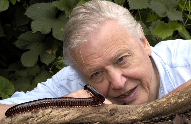 Happy 93rd birthday to one of the most inspiring and great people, who has dedicated his life to fight for the greater good, for the wonders of nature and for the peculiarities of our planet, #SirDavidAttenborough!