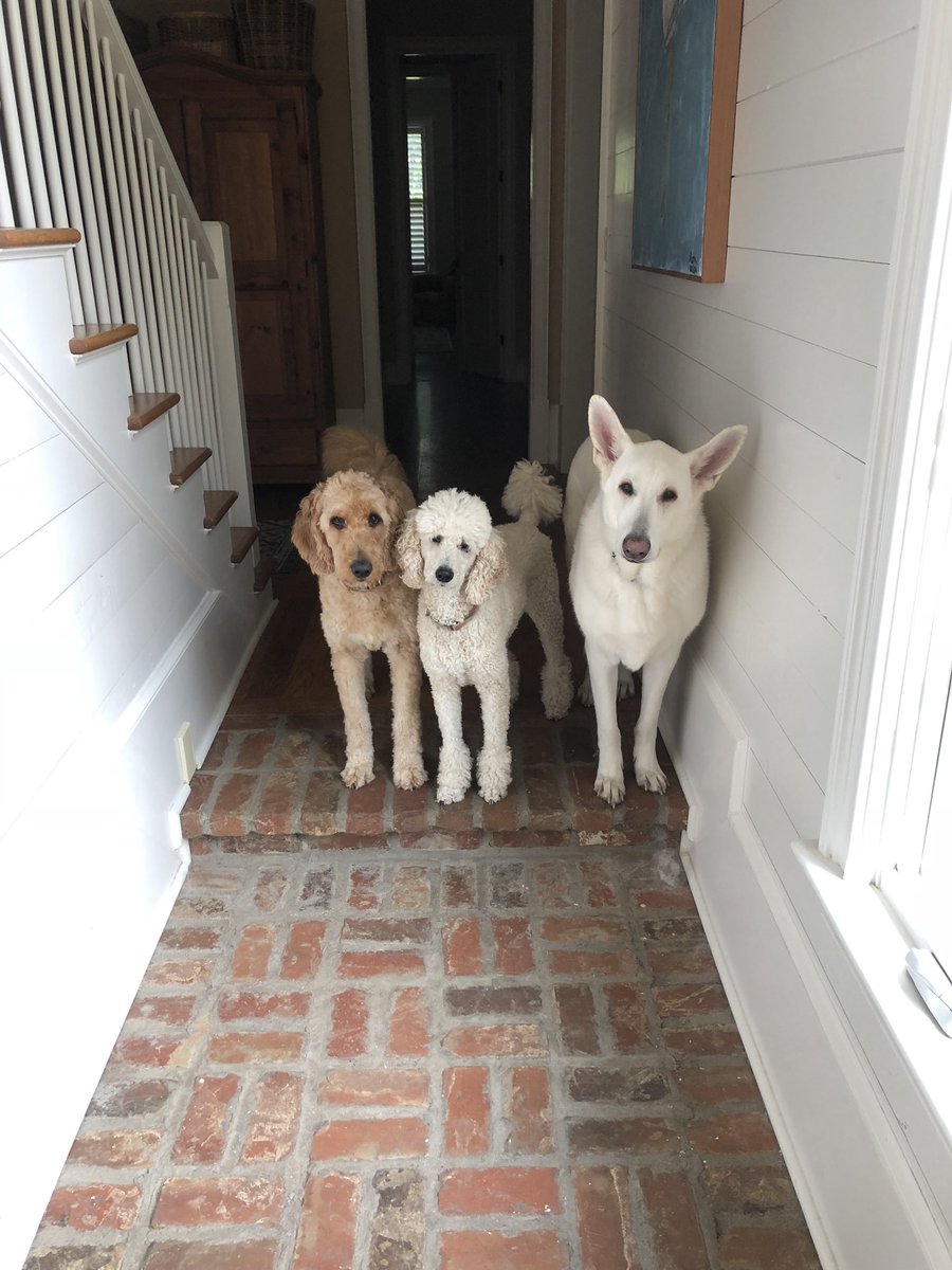 26 yrs ago, <a href="/MAndreaGiddens/">Andrea Giddens</a> and I said our “I do’s” and our adventure began. From Kilimanjaro to Patagonia, 3 kids and too many dogs #HappyAnniversay