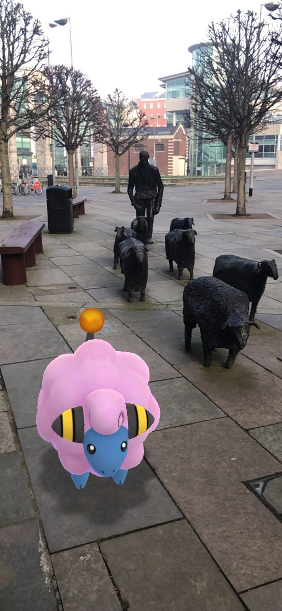 kevdude's tweet photo. #GOsnapshot #HabitatChallenge sheep on the road https://t.co/Hi1xtBhqXg