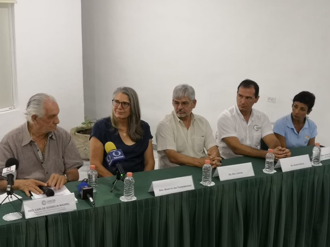 SIPSENOTICIAS's tweet photo. #SNCUN Presentan el PROTOCOLO PUERTO MORELOS, una organización sin fines de lucro que tiene el objetivo de conservar limpias las playas y preservar el sistema arrecifal mediante un programa integral del manejo de esta alga. https://t.co/q4MLP7Uy9f