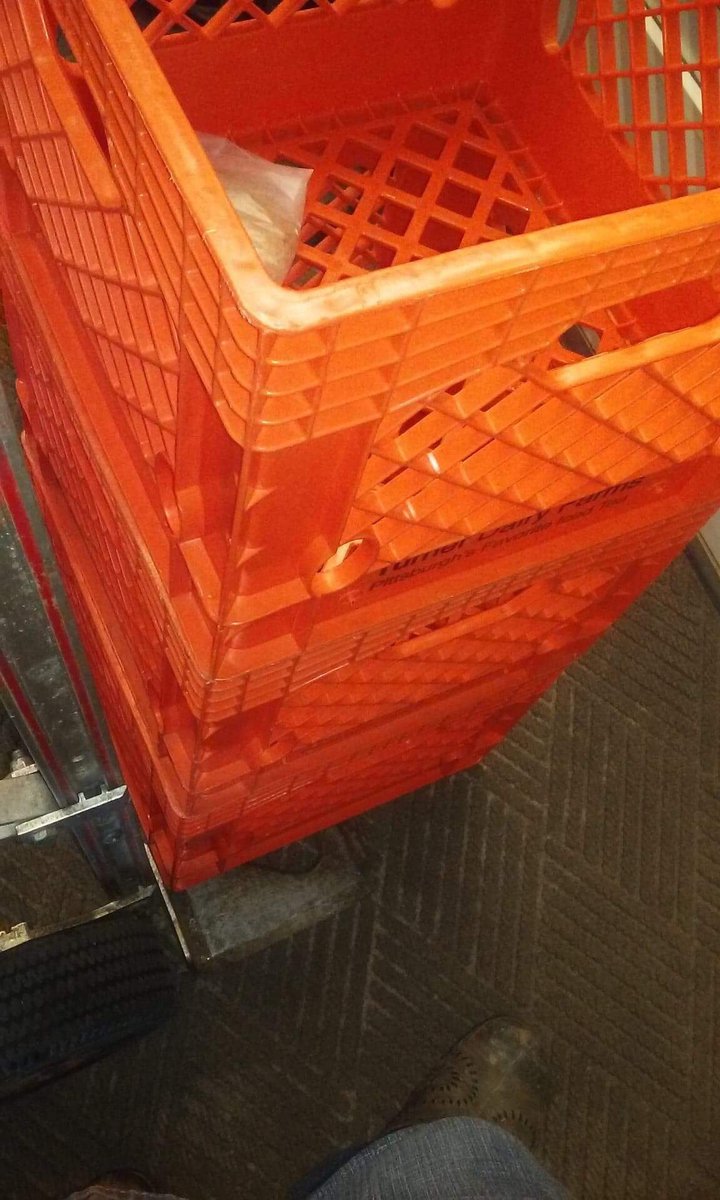 justcrates's tweet photo. A beautiful specimen. Thanks, Lucy! https://t.co/4Ba4vLn8ME