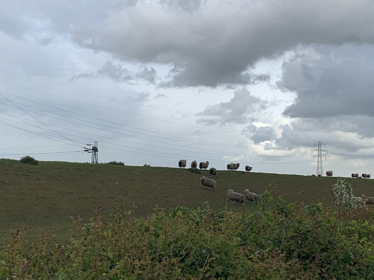 OWAyres's tweet photo. The target was 7 Days 70 Miles..... 7 Days and 76 miles completed. All thanks to the #greenwheel #Peterborough  #fatfighting https://t.co/lFddU97JuT