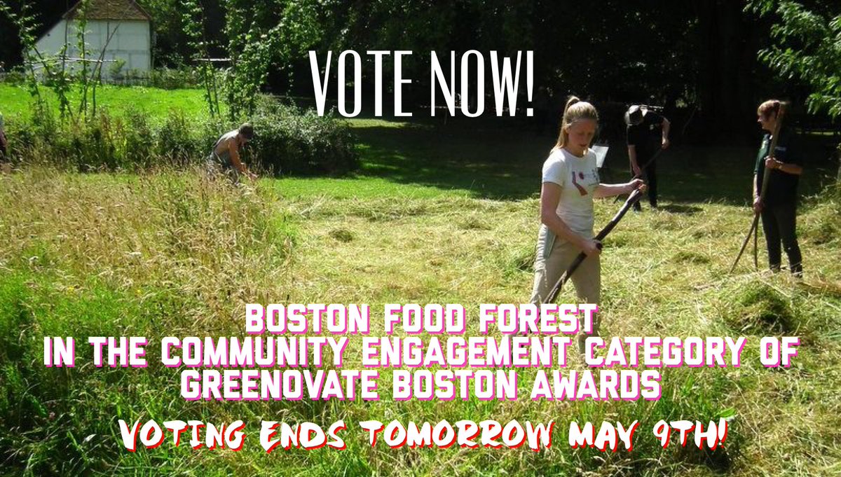 Boston Food Forest tweet media
