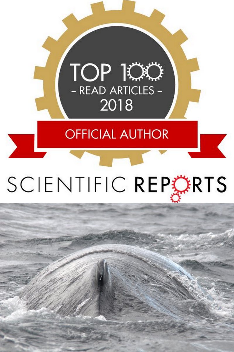 DrNatSchmitt's tweet photo. Nice surprise to wake up to. Our paper on humpback whale migrations to Antarctic summer foraging grounds has apparently been popular! Who'd have thought! @AusAntarctic #whales #DNAtracking #tech4wildlife https://t.co/elAmDfElCD https://t.co/gphfo0EFqA