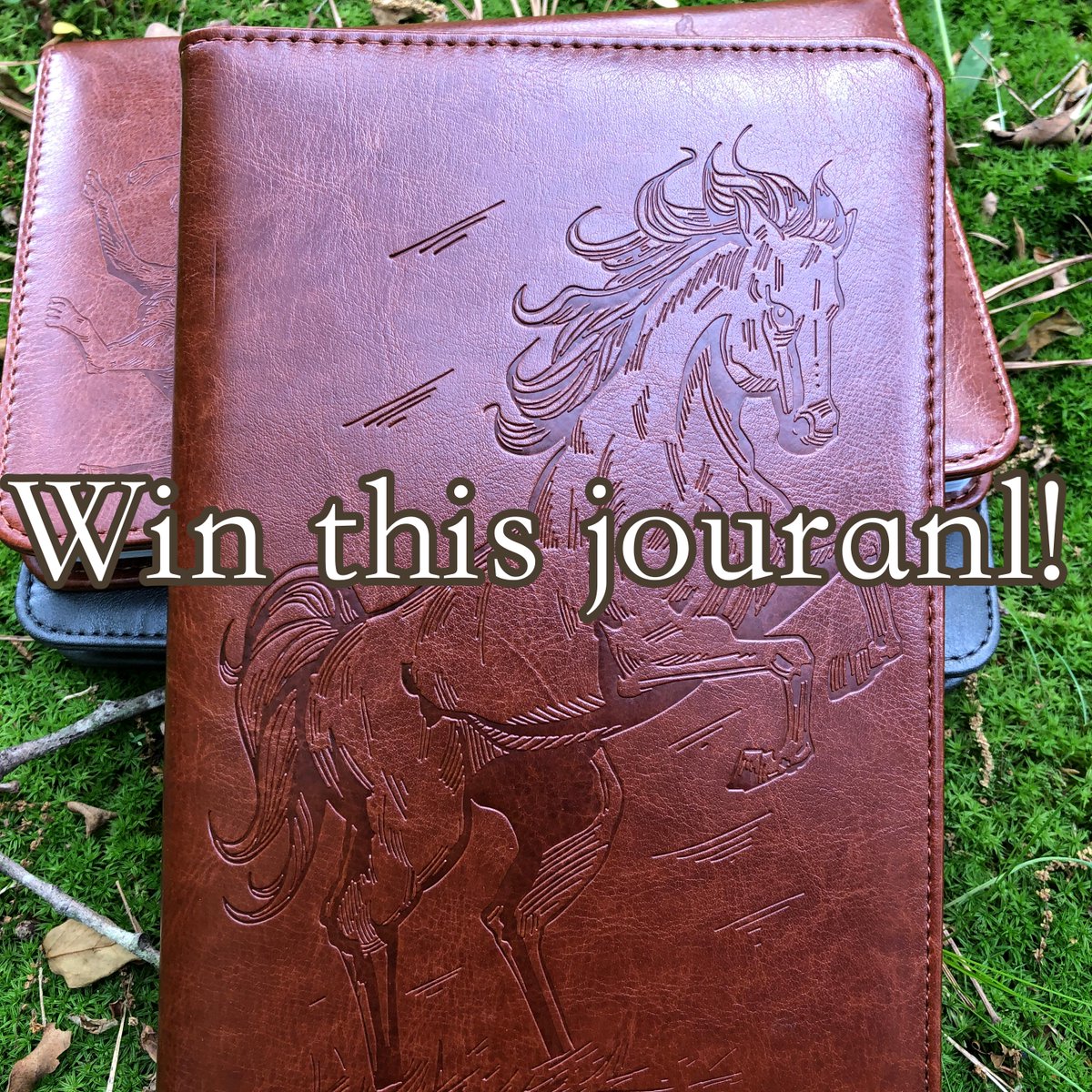 SohoSpark's tweet photo. Like this journal? It could be yours! Enter our giveaway for a chance to win. Already entered? Share your unique code with your friends. When they enter our giveaway YOU get points that increase your chance of winning!

https://t.co/8HzVBoHyn0

#sohospark #giveaway #newjouranls https://t.co/05Lc1ICYGh