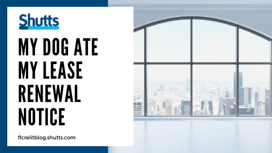 ShuttsBowen's tweet photo. West Palm Beach partner @Sackel discusses what #landlords should keep in mind about late #lease renewals in our latest #Florida #CommercialRealEstate #Litigation blog post. Read the full post here: https://t.co/JGIxno5pjB. https://t.co/TsDFynI2RP