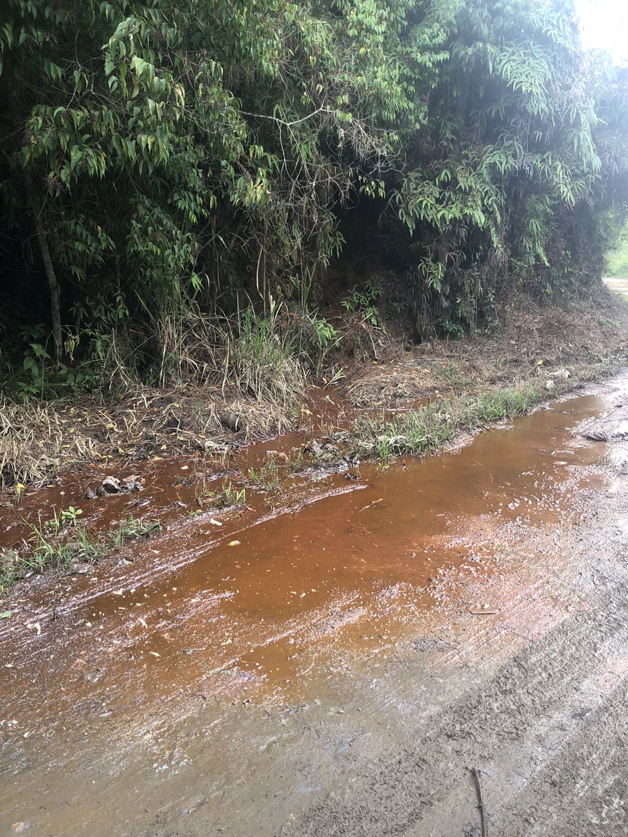 vanevelasquezl's tweet photo. Señores @Grupo_Argos  algo está fallando en el proceso de recuperación ambiental en #labuitrera 
Esto es lo que está saliendo de los socavones y cae al #riolili https://t.co/zcjxUEBcle