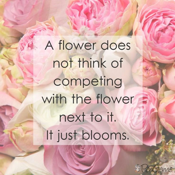 drat257's tweet photo. Always choose to be the better person. https://t.co/GpvvNcH33M