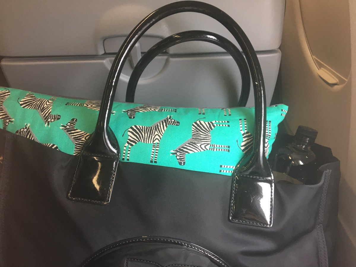 KendallJD28's tweet photo. My travel style is “rare”. A special thank you to @Sleepy_Shannon3 for stepping up my travel game with this amazing travel pillow!! #CareAboutRare #raredisease #RAREAwareness https://t.co/8HoRM9VsI2