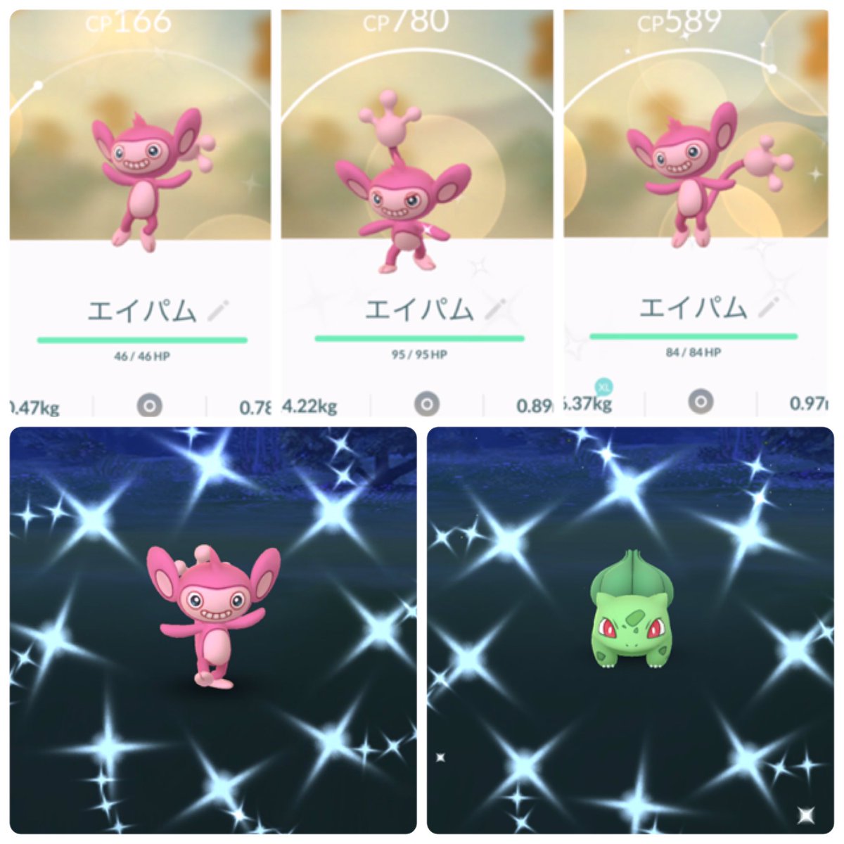 色違いエイパム