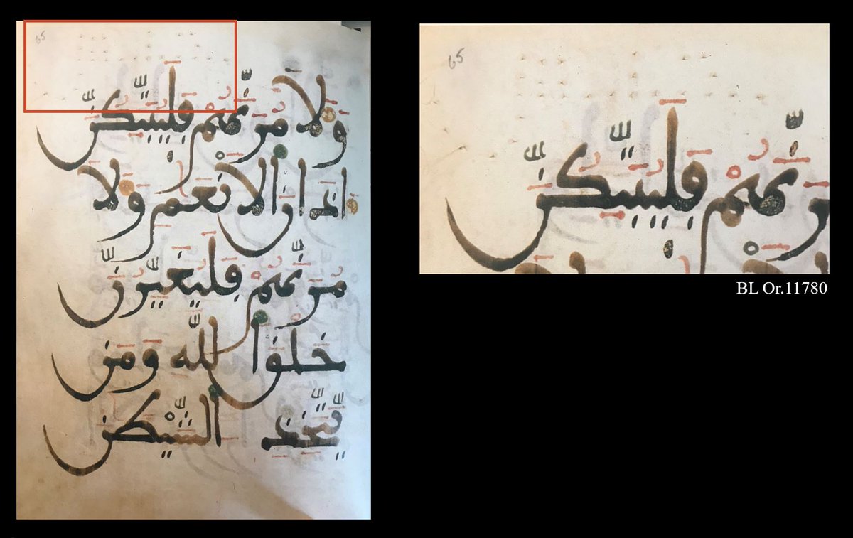 Dr. Éléonore Cellard tweet media