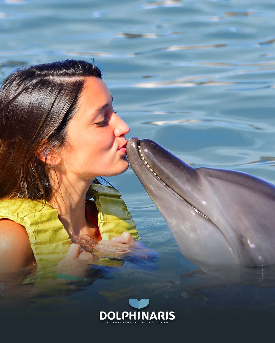 Dolphinaris's tweet photo. Let's find a beautiful place to get lost. #WeAreOne
----> https://t.co/UIFkUU11OU https://t.co/T2UEyjby7i