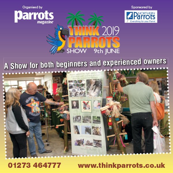 Whether you’re a beginner or experienced parrot owner, Think Parrots Show has much for you to enjoy &amp; learn from. With many parrot experts attending &amp; three free Masterclasses, gain a vast amount of knowledge to help make your parrot’s life the best it can be &amp; have a lot of fun!