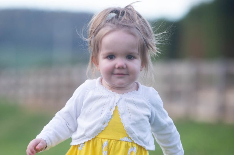 DailyMirror's tweet photo. Cancer-stricken tot, 2, needs a blood transfusion every week to stay alive https://t.co/y744MLdFBe https://t.co/snpHtM1Pc2