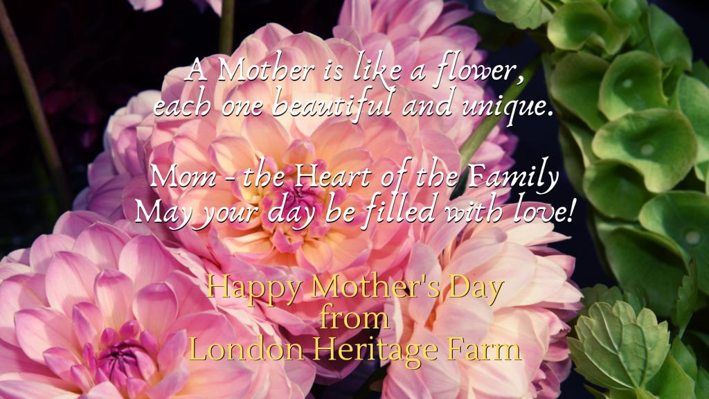 Happy Mother’s Day londonheritagefarm.ca/news/?p=6598