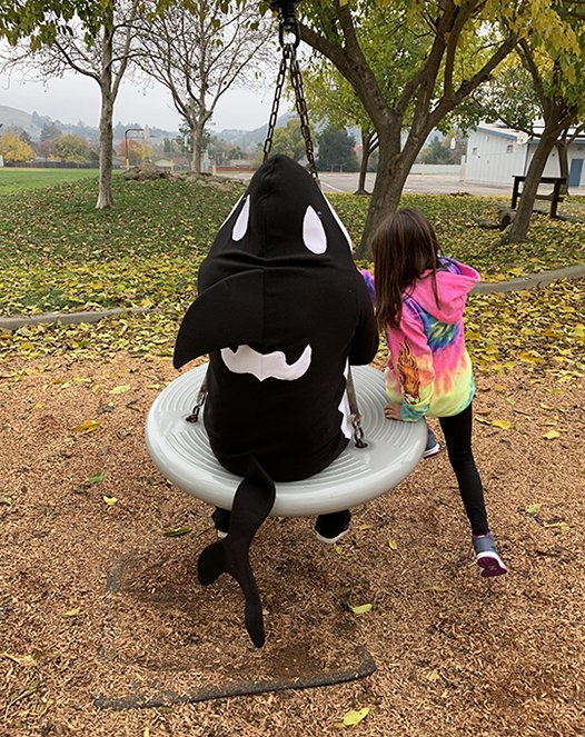 orcabrad's tweet photo. Where am I? Post your guess and if you’re the first correct answer, you get 2 Orca Bucks good at the snack bar at our next home meet! If you share this photo and tag @orcabrad, you get 5 Orca Bucks! Good luck! https://t.co/6RrnXSXu26